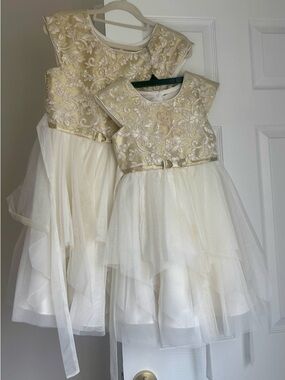 Jona Michelle Ivory and Gold Embroidered Tulle Party Dress